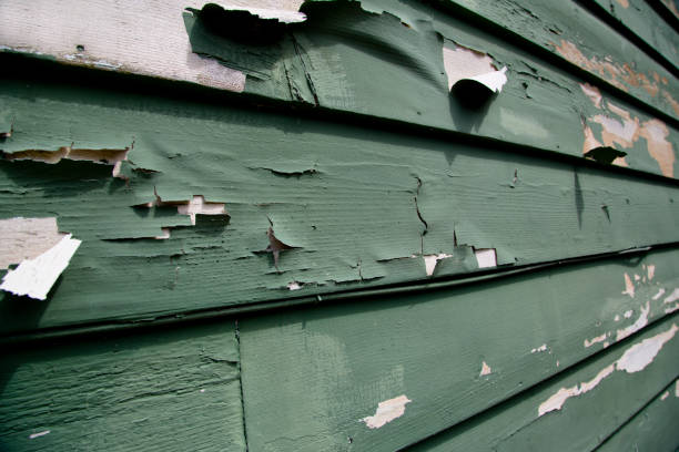 Storm Damage Siding Repair in Rural Hall, NC