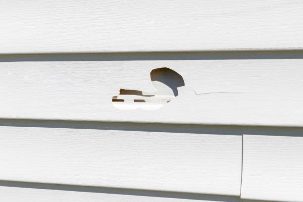 Best Storm Damage Siding Repair  in Rural Hall, NC